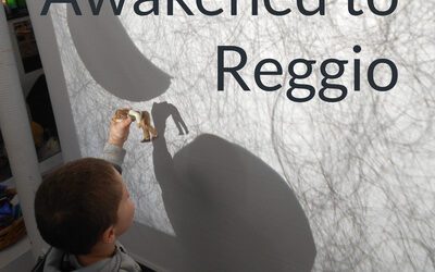 Lisa Featured on Awakened to Reggio Podcast with Sandy Lanes